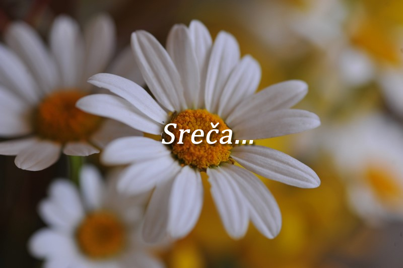 Kaj so otroci dolžni svojim staršema