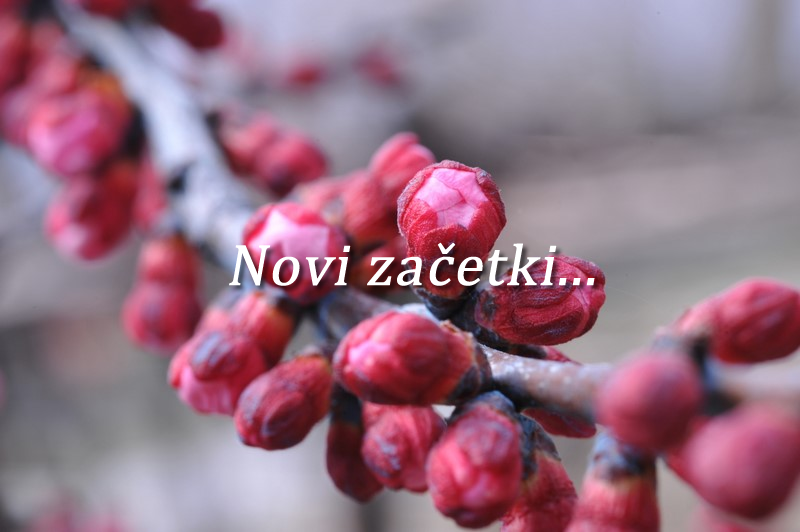 IZBRUHI BESA IN JEZE 