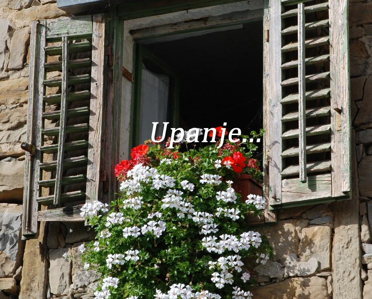 Vse storim zadnji hip