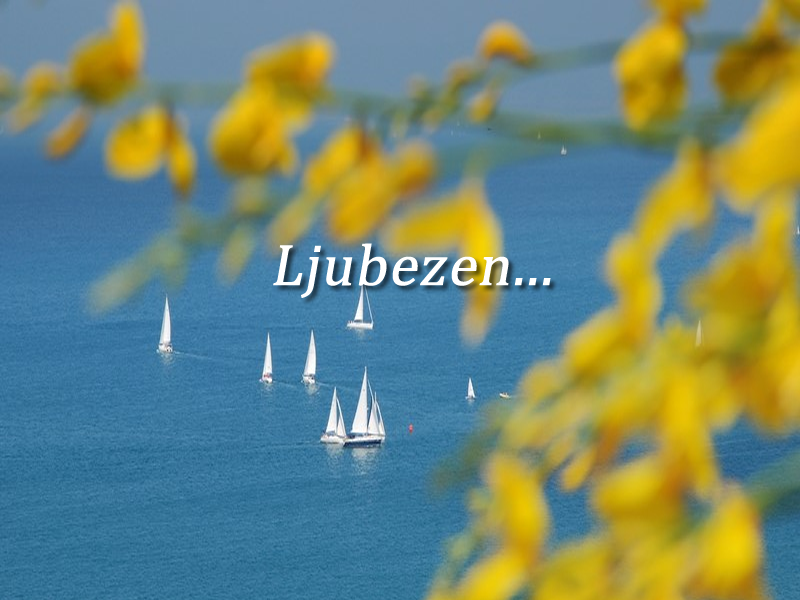 KAKO IZBRATI PRAVEGA PARTNERJA?